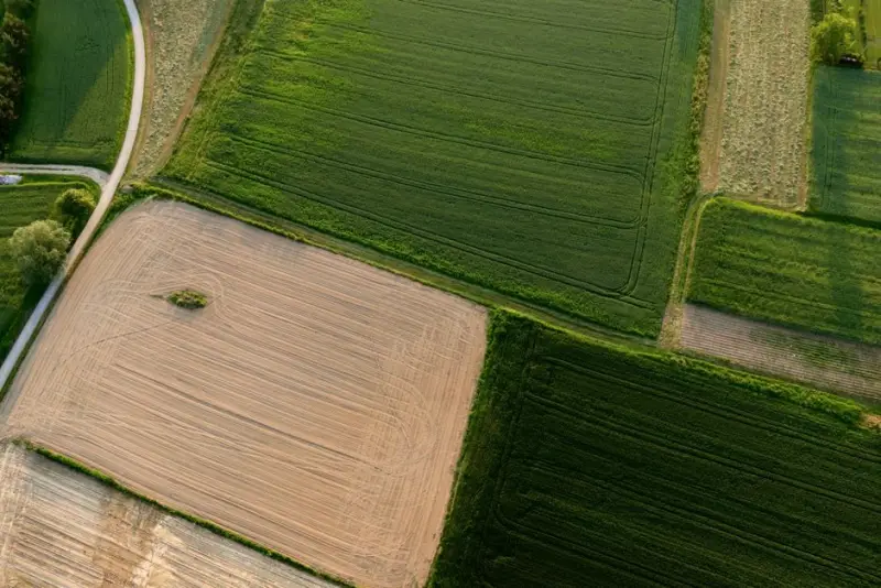 Terra Santa (LAND3) muda prognóstico de processo sobre 2 mil hectares para remoto